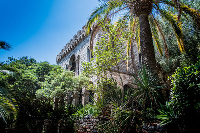 Low angle view of palm trees and building against sky