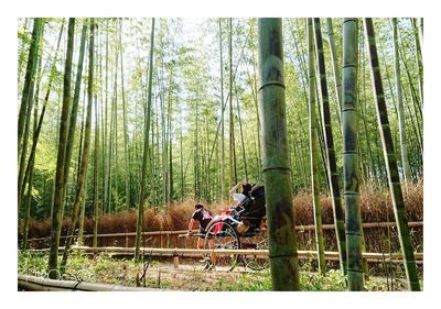 Man playing with ball in forest