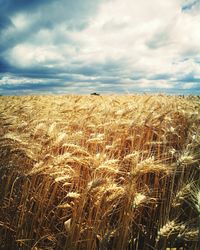 Scenic view of field against cloudy sky