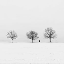 Person walking on snow covered landscape against sky