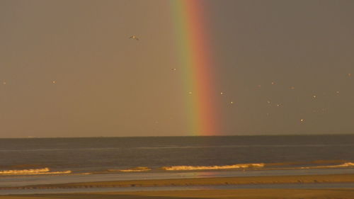 Scenic view of sea against clear sky during sunset