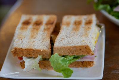 Close-up of served food in plate on table