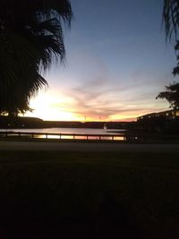 Silhouette palm trees against sky during sunset