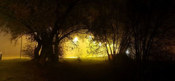 Silhouette trees in park against sky at night