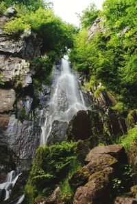 Scenic view of waterfall in forest