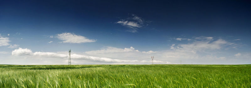 Panoramic view of agricultural field against sky