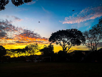 Silhouette trees on field against sky during sunset