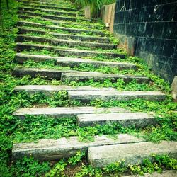 Footpath leading towards stone wall