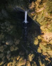 High angle view of waterfall in forest