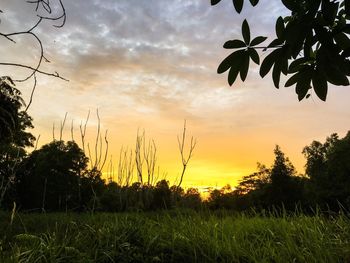 Scenic view of field against cloudy sky