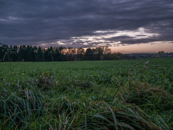Scenic view of field against sky during sunset