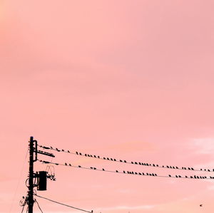 Low angle view of birds perching on cable against sky