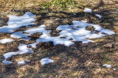 High angle view of snow on field