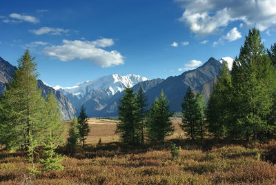 Scenic view of trees and mountains against sky