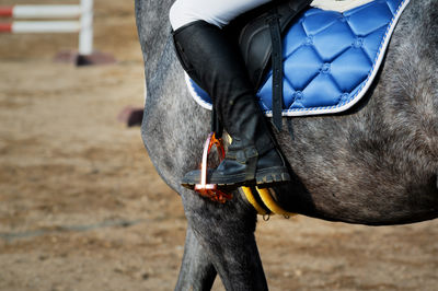 Midsection of woman riding horse