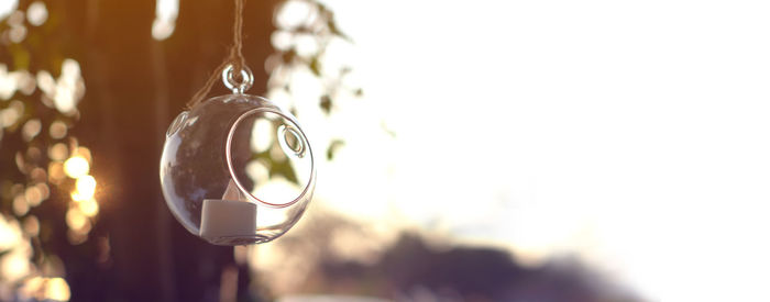 Close-up of wedding rings on metal of tree