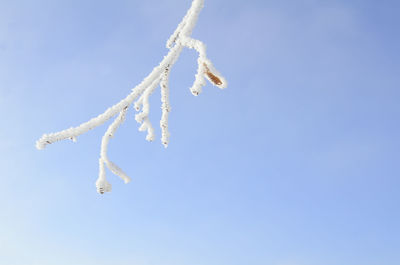Low angle view of vapor trail against clear sky