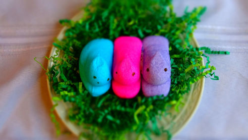High angle view of ice cream on table