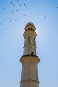 Low angle view of birds flying against sky