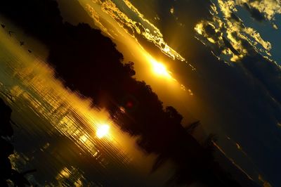 Silhouette of trees at night