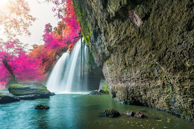 Scenic view of waterfall in forest