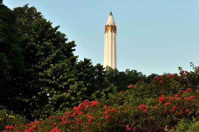 Low angle view of flowering plant against building