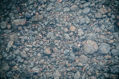 High angle view of stones