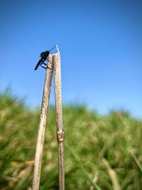 Windmill on a wooden post in a field