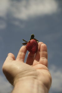 Midsection of man holding strawberry