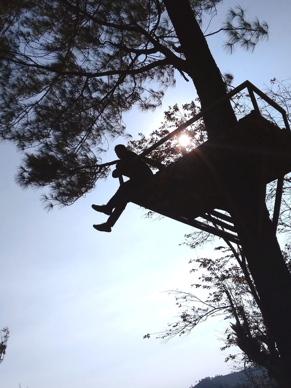 LOW ANGLE VIEW OF SILHOUETTE PERSON TREE AGAINST SKY