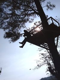 Low angle view of silhouette tree against sky