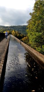 Rear view of men amidst trees against sky