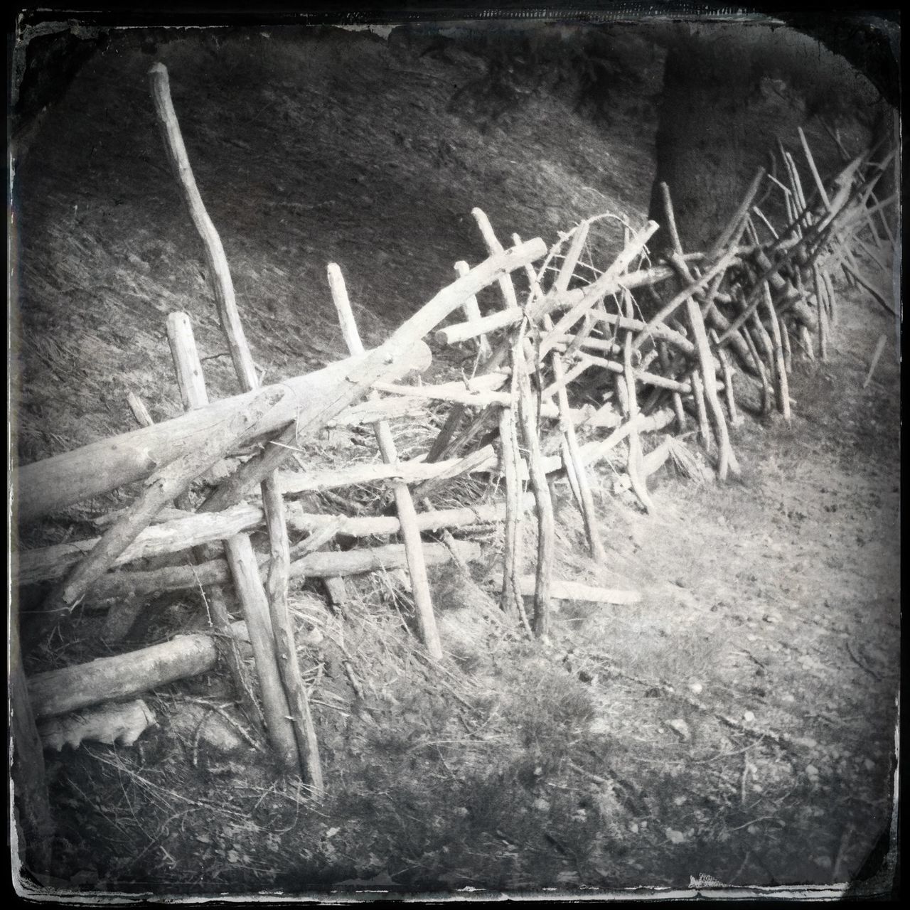 abandoned, transfer print, old, damaged, obsolete, auto post production filter, run-down, deterioration, weathered, wood - material, ruined, bad condition, built structure, plant, destruction, broken, wall - building feature, day, no people, field