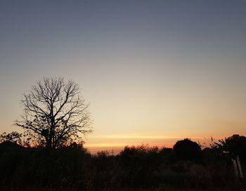 Silhouette trees on field against clear sky at sunset