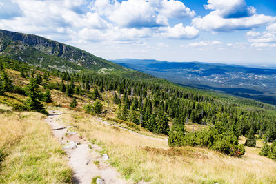 Scenic view of landscape against sky