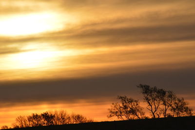 Low angle view of silhouette trees against sky during sunset