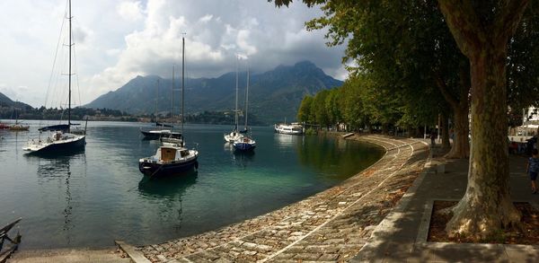 Boats moored in sea