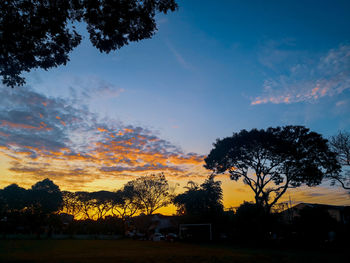 Silhouette trees on field against sky during sunset