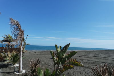 Scenic view of sea against clear blue sky