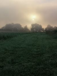Scenic view of field against sky during sunset