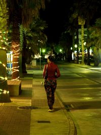 People walking on road at night