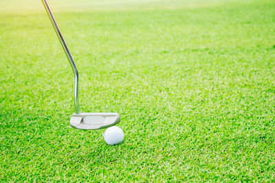 Close-up of ball on golf course