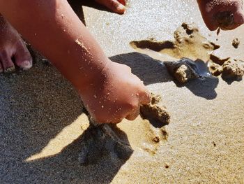 Low section of person on sand at beach