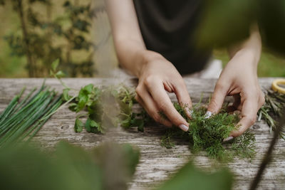 Midsection of woman arranging dill leaves by herbs on wooden board