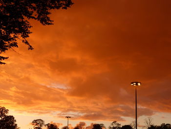 Low angle view of silhouette trees against orange sky