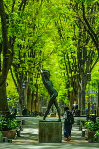 People walking on tree in city