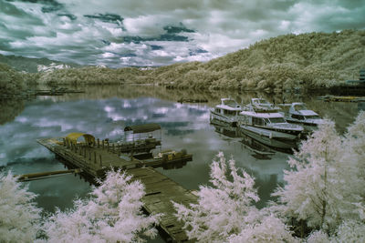 Boats moored on lake by trees against sky