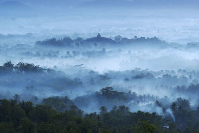 Scenic view of forest against sky