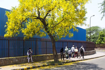 Rear view of people walking on sidewalk by tree