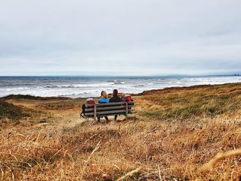 Rear view of men sitting on bench at beach